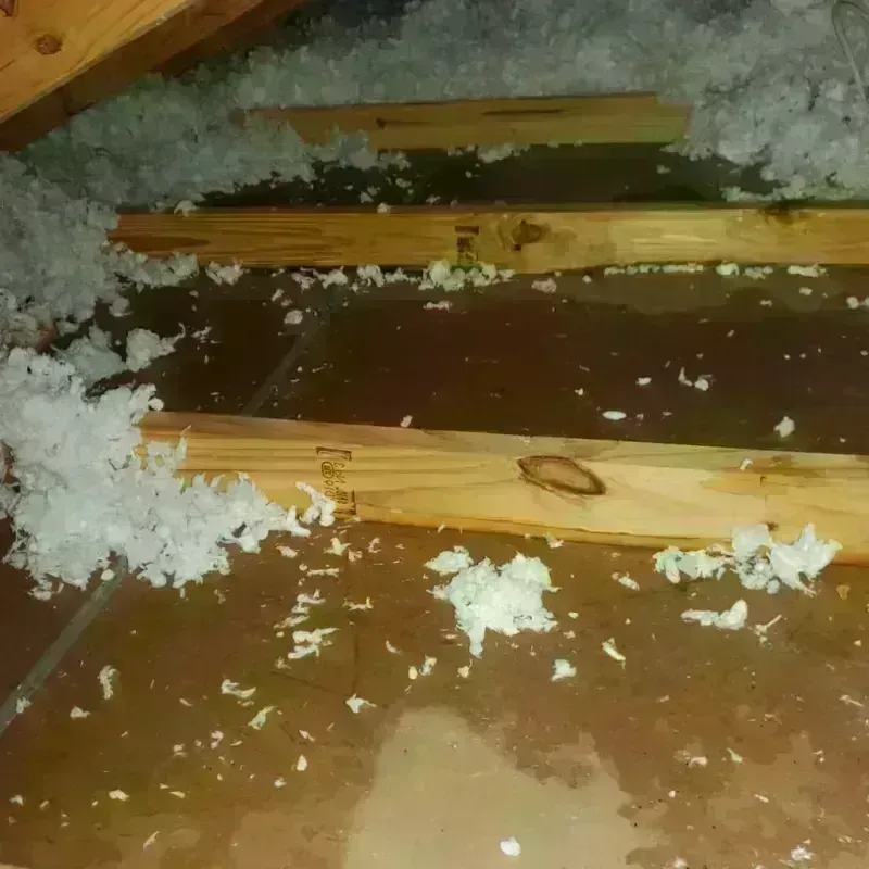 Attic Water Damage in Lawrenceburg, IN